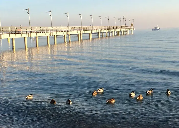Semesterbostad Domki Mechelinki *