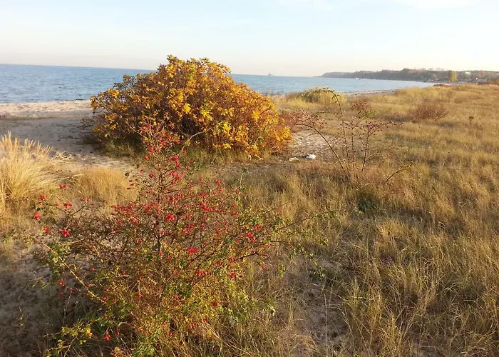 Domki Mechelinki Semesterbostad Mechelinki